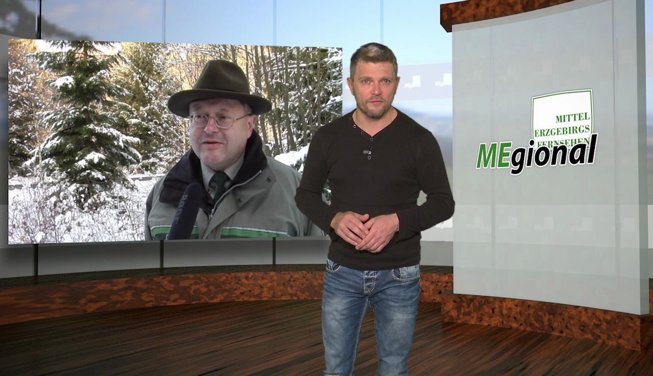 Wild im Straßenverkehr Wild im Straßenverkehr