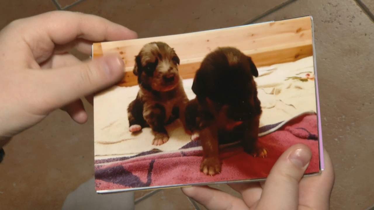 MEgional am 13. Januar 2020 mit dem Spendenhund für Marie