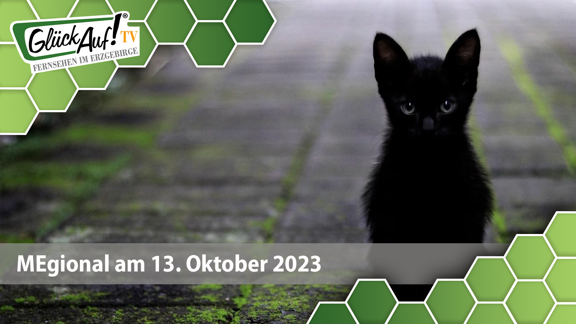 MEgional am 13. Oktober 2023 mit dem Fußballcamp in Leubsdorf